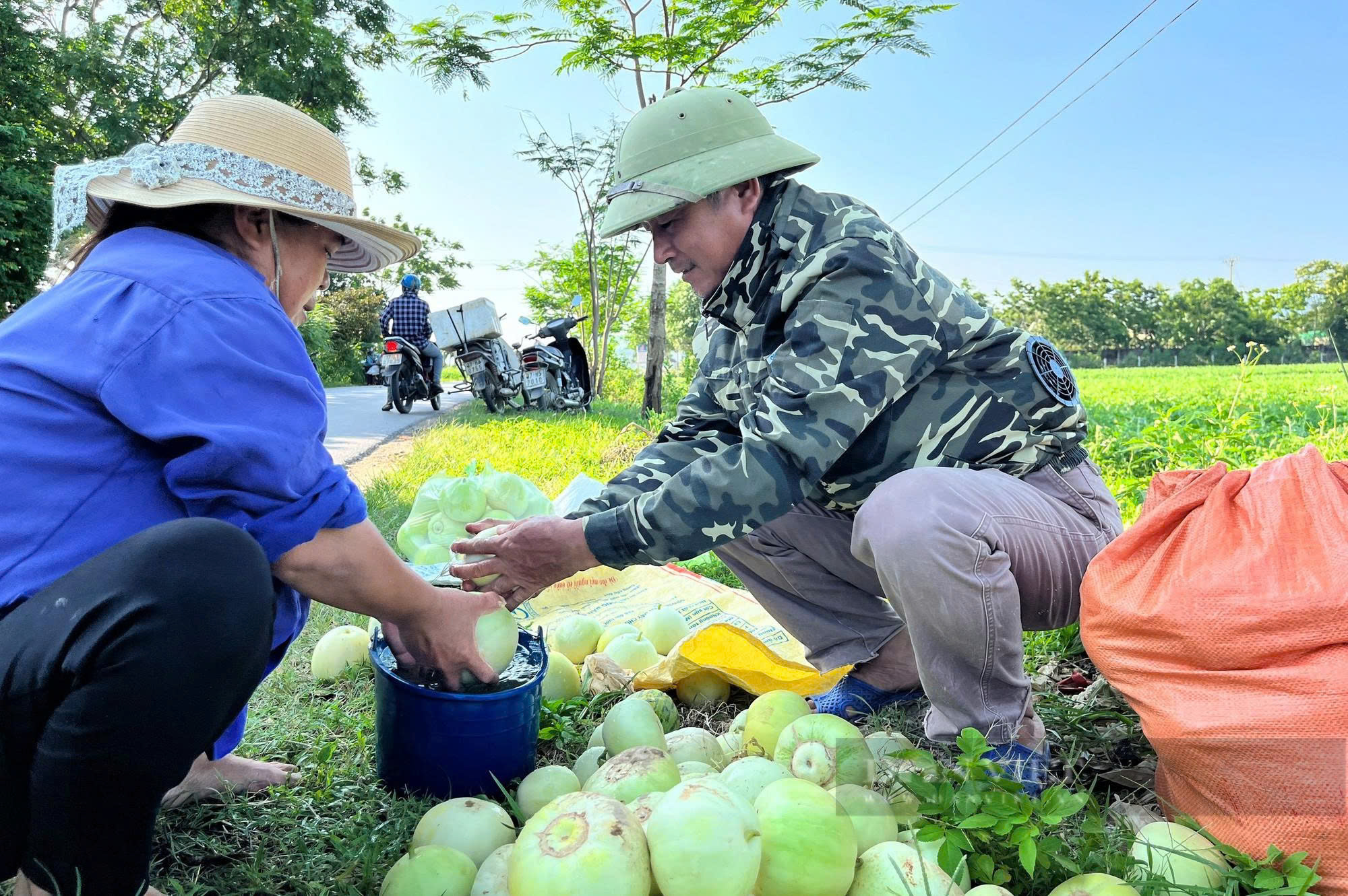 5 lý do áo điều hòa phù hợp với khí hậu Việt Nam 5 Đa dạng mẫu mã, dễ lựa chọn