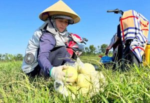 áo điều hòa